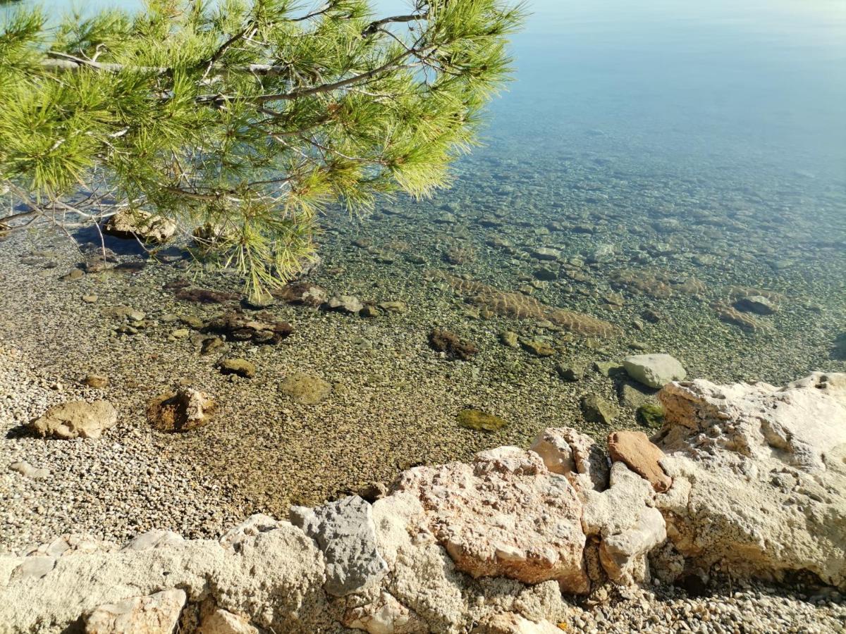 Bosi I Goli Starigrad Paklenica Exterior foto